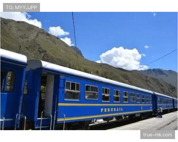 秘鲁队中场稳健控场，团队协作彰显非凡实力