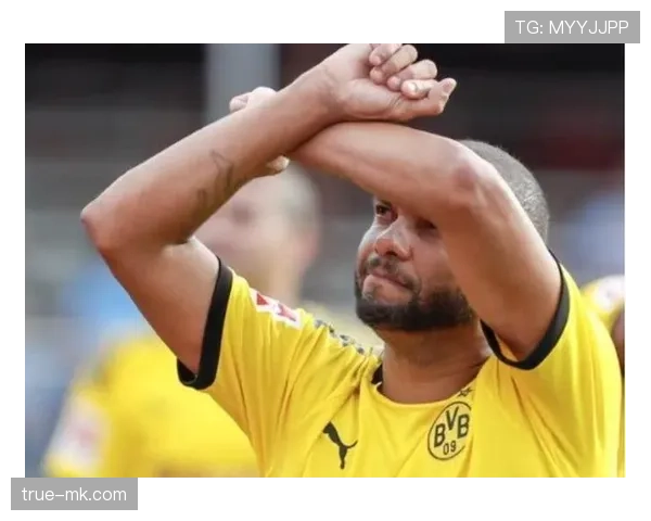 泰国队“战象”强势复苏，球迷激情重燃赛场