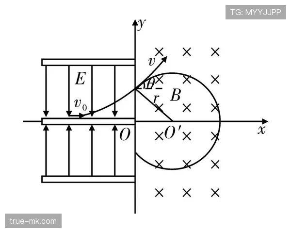 戴维斯职业生涯轨迹解析